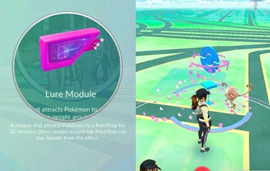 Приманки в Pokemon GO: об особенностях применения - #pokemongo