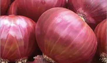 10 лет переговоров: Новая Зеландии разрешила КНР ввозить лук