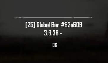 Внезапный бан в PUBG с ошибкой 3.8.38: за что? и что можно сделать?