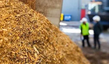 Реальность другая: Shell отказалась от завода биотоплива в Нидерландах