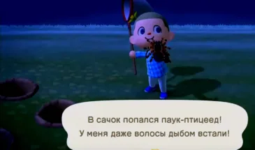 Феномен Cozy game: уютная игра — уже больше, чем тренд