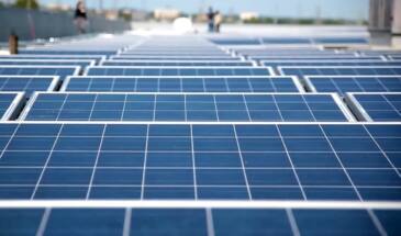Longi Green Energy уже год в убытках и сокращает производство