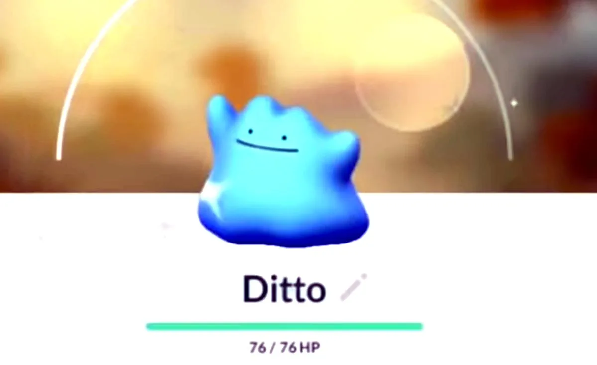 Season of Mischief: где и как ловить Дитто и Shiny Ditto