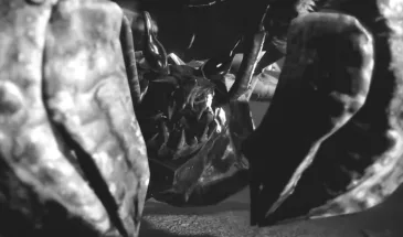 Как грамотно почистить Monster Hunter перед установкой DLC