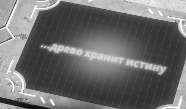 Как пробуждать палов в Palworld, зачем и где брать кристаллы
