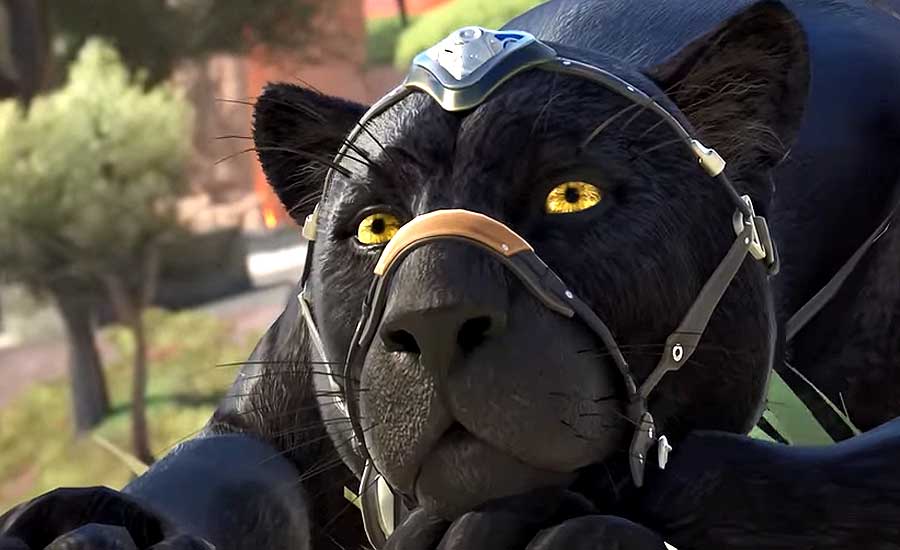 Cormorant и прочее: о самых актуальных проблемах Highguard