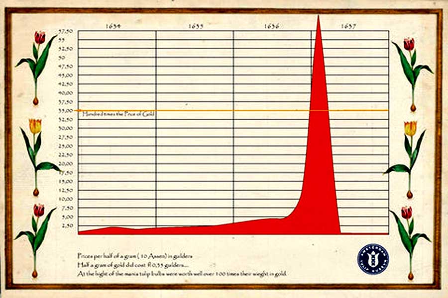 Немного истории: тюльпаны, железные дороги, доткомы и... ИИ
