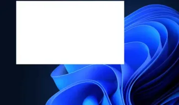 Внезапно пустое белое окно в Windows 11 и 10: откуда и как его убрать